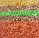 20250630_163502[1].webp